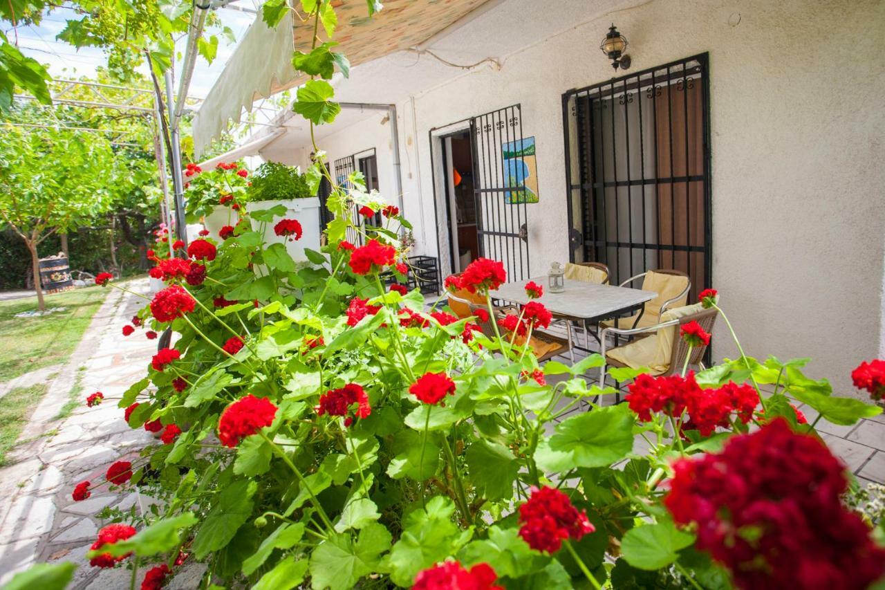 Villa Nakou House à Vráchos Extérieur photo